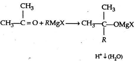 On reacting with G.R. acetone gives: - Tardigrade