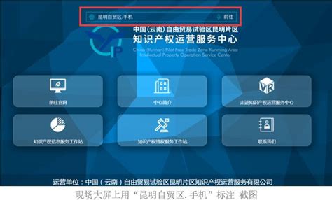 昆明知识产权运营服务中心揭牌，正式启用“昆明自贸区.手机” - 科技环保 - 中国网•东海资讯