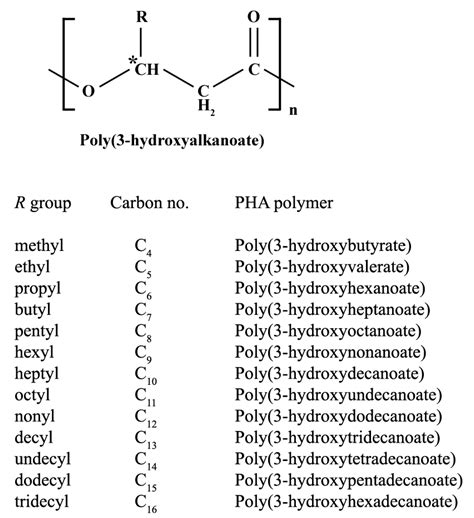Start a Research on Biopolymer Polyhydroxyalkanoate (PHA): A Review
