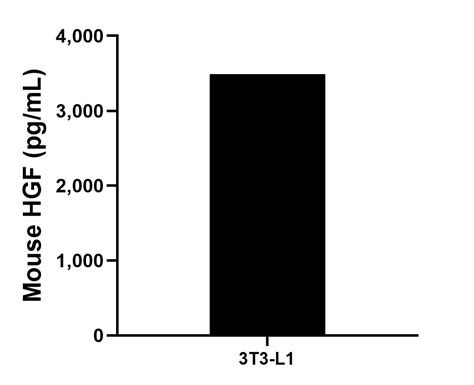 Mouse HGF Recombinant Matched Antibody Pair, PBS Only antibody (MP01760 ...