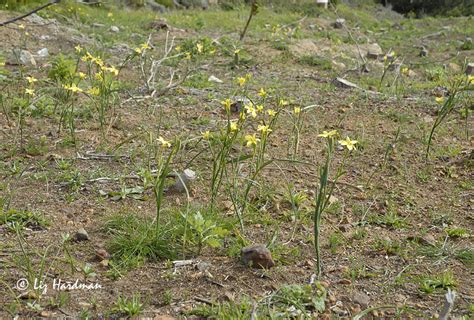 Nature Undefined Edge 的图像结果