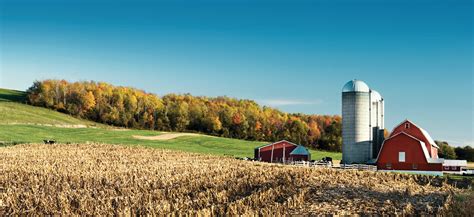 rural mutual insurance