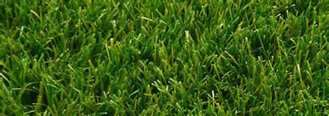 Residential Turf | Instafloor