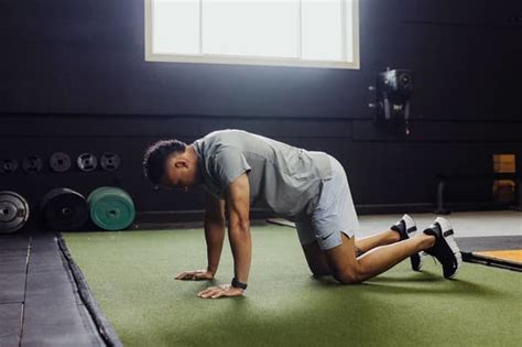 Bird Dog Exercise Move 的图像结果