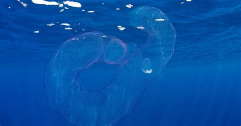 Alien Invasion Beach 的图像结果