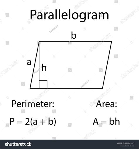 Area Perimeter Parallelogram Mathematics Vector Illustration Stock Vector (Royalty Free ...