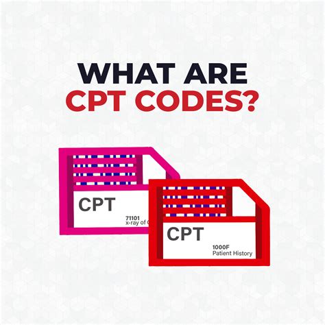 Image result for Find CPT Code