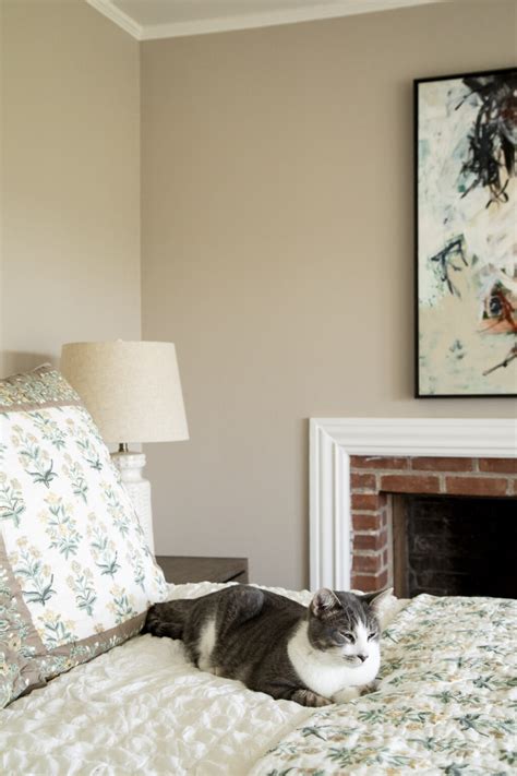 Smokey Taupe by Benjamin Moore: Paint Color Review - A Season For Home