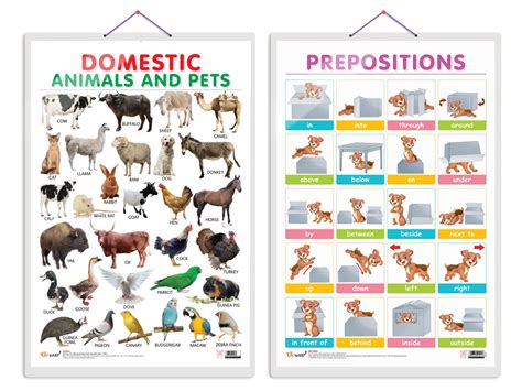 JoGenii|Set-of-2-Domestic-Animals-and-Pets-and-PREPOSITIONS-Early ...