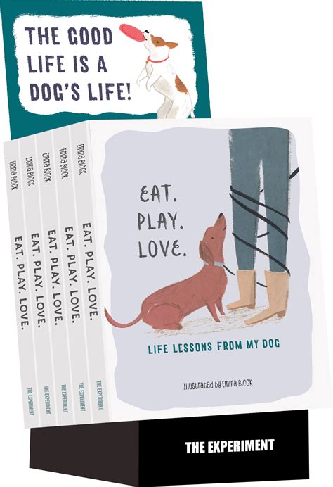 Eat Play Love_Display | The Experiment