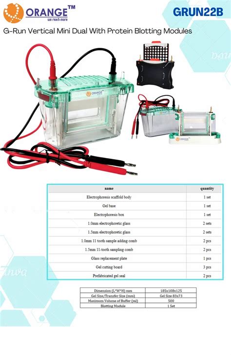 Electrophoresis System - GRun Vertical Mini Dual with Protein Blotting ...