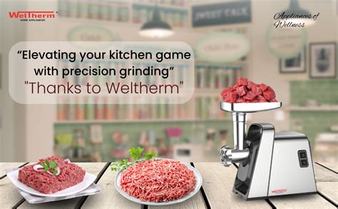 Buy WELTHERM MGG-65 Meat Mincer 1800W Electric Meat Grinder with ...