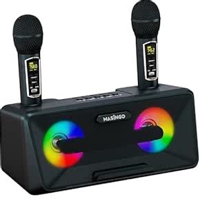 MASINGO Karaoke Machine for Adults and Kids with 2 Wireless Microphones ...