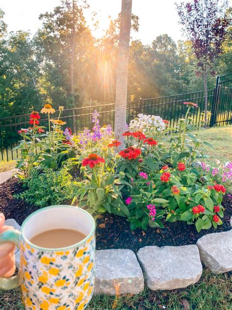 Perennials Flowers Full Sun