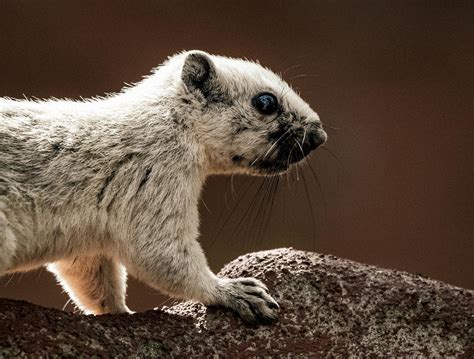 Finance LinkedIn. Background 的图像结果