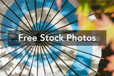 Image result for Paper Big