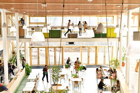 Bjorg, Bonneterre & Compagnie Office Photos