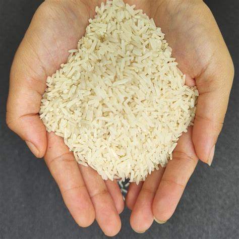 Premium Organic Basmati Standard Rice | Aromatic & Nutritious ...