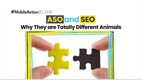 ASO and SEO: Why They are Totally Different Animals