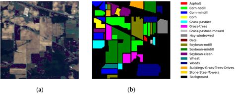 The Classification of Hyperspectral Images: A Double-Branch Multi-Scale ...