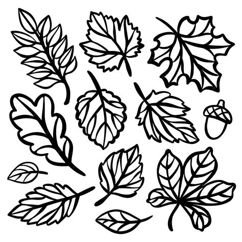 Autumn Leaf Clip Art Black And White