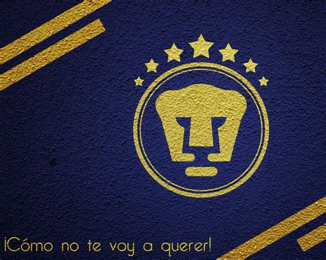 Pumas Wallpapers - Wallpaper Cave