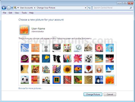 Image result for Windows 7 User Account Icon