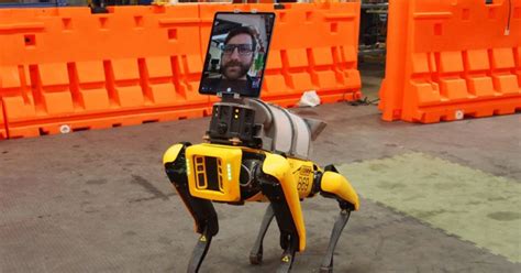 These Robot Dogs Now Turn Into Doctors With iPad Heads! - MobyGeek.com