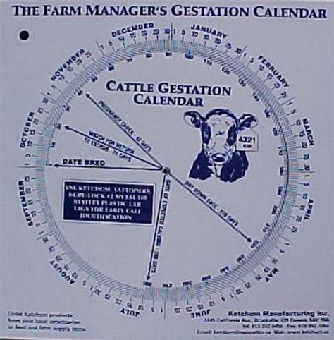 Livestock Gestation Table at Carl Cosme blog