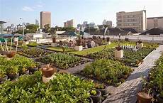 Rooftop Garden Design Ideas Changing City Architecture Green Ideas20 Root Artworks Garden Decorations Bringing Splendor Beautiful Garden Design by Rooftop Garden Designs Changing City Architecture Rooftop Garden Design Ideas Changing City Architecture Green Ideas20 Root Artworks Garden Decorations Bringing Splendor Beautiful Garden Design