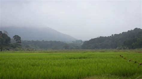 15 Road Trips from Bengaluru You Can Take in 2023