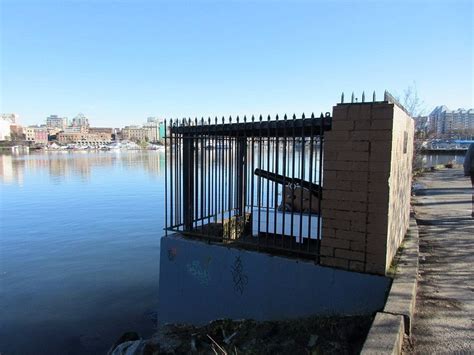 LAUREL POINT CANNON (2026) All You Need to Know BEFORE You Go (with ...