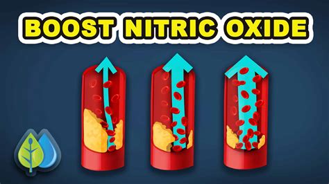 Top 6 Vitamins To Boost Nitric Oxide