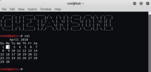 Top 20 Basic Kali Linux Commands - Yeah Hub