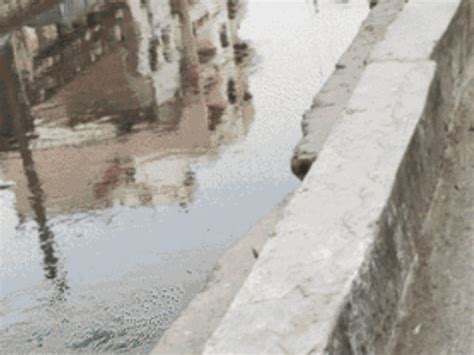 Four-lane road construction underway on Saidpur–Gaighat drain: Travel ...