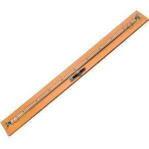 Human Eye Model Manufacturers and Suppliers from Ambala