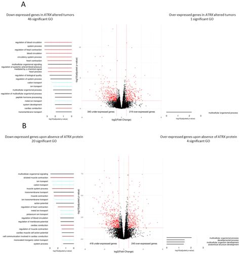 ATRX Alteration Contributes to Tumor Growth and Immune Escape in ...
