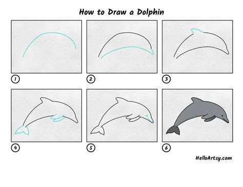 Dolphin Definition How to Draw a Dolphin Easy - Holt Labley
