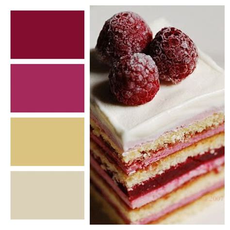 Image result for Solid Square Raspberry Color