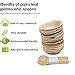 Crazy Sutra Eco-Friendly Disposable Cutlery - Combo of Round Areca Palm ...