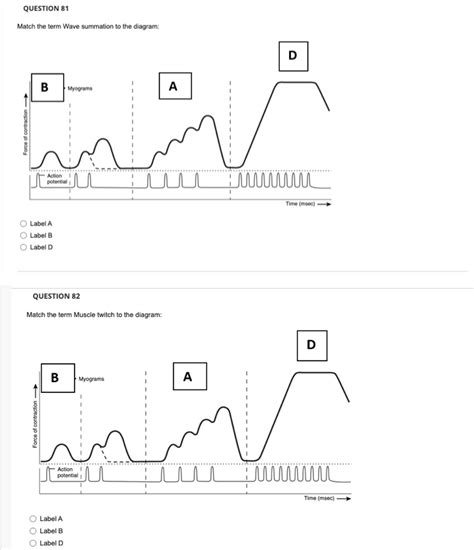 Image result for Wave Summation Graph
