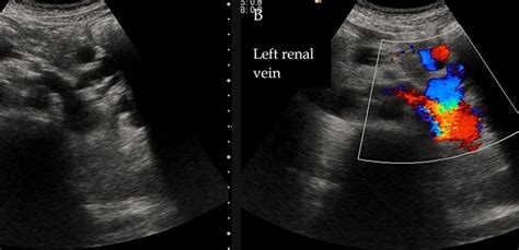 Mediscan Thrissur | Your OneStop Solution Medical Services