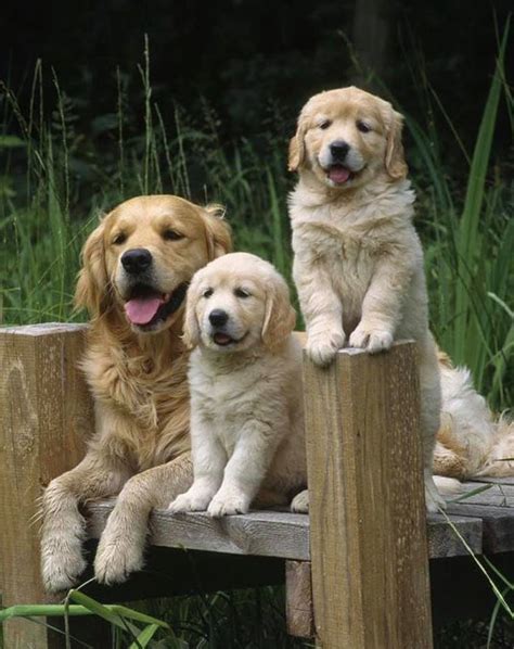 Trinity GAP Club - Super Saturday | Facebook