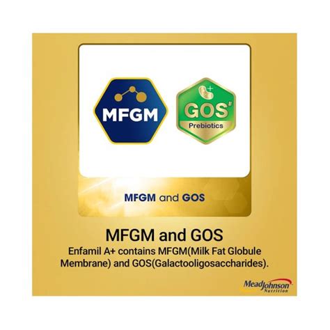 Enfamil A+ Formula Powder Stage 3 400gm - Cureka
