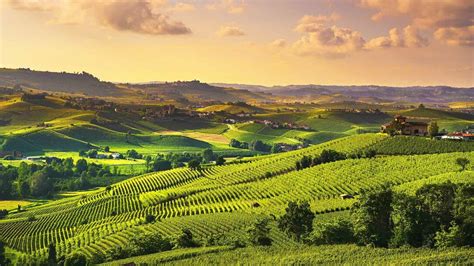 Alba 1922: nasce Beppe Fenoglio | Meer