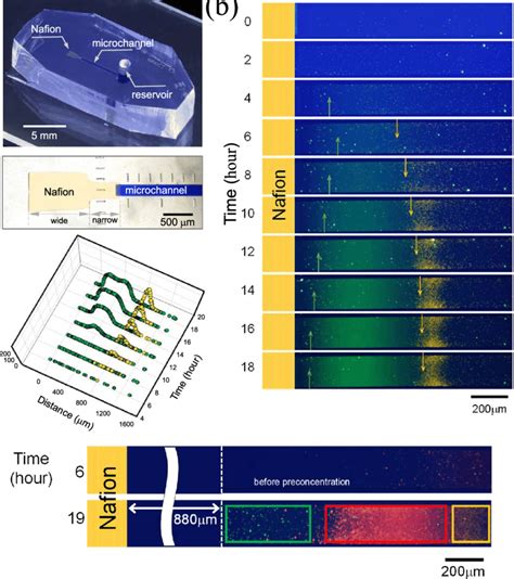 Microfluidic Chip 的图像结果
