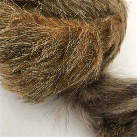 Vintage Davy Crockett / Daniel Boone Coonskin Hat Size Youths L Brown