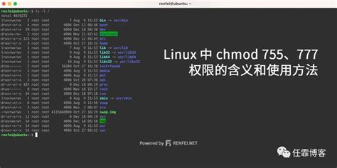 Chmod 640 Command 的图像结果