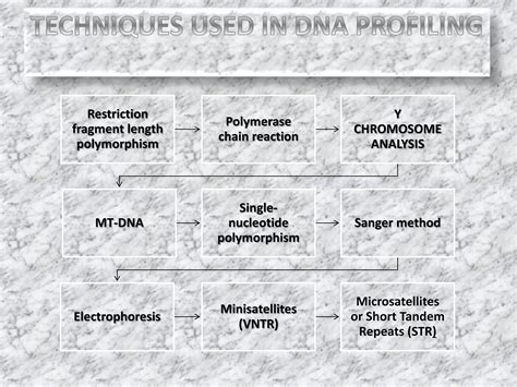DNA Profiling 的图像结果