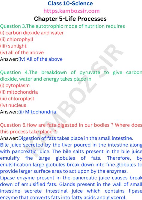 Image result for Life Process Class 5 Kind Story